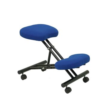 Banco Ergonómico Mahora Piqueras Y Crespo BALI229 Azul